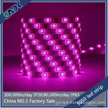 ultraviolet led strip 5050 smd 5m 300led/roll bicolor led strip 12v 14.4w/m ip20 double pcb led plant grow light strip